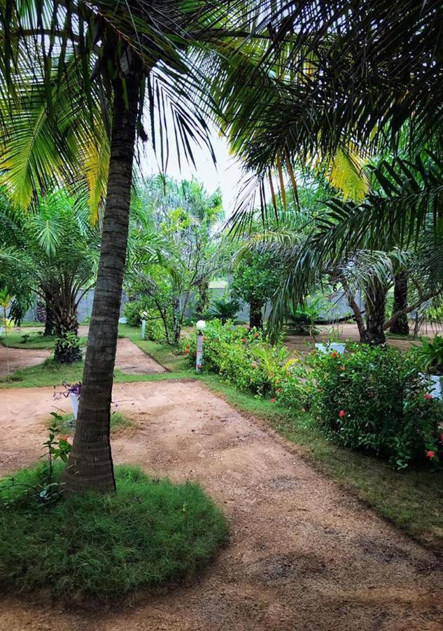 Twitter Paradise Ampeni Экстерьер фото