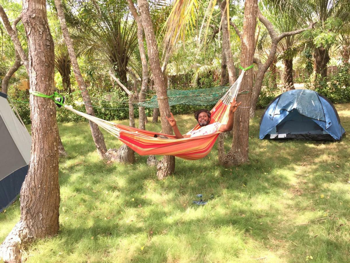 Twitter Paradise Ampeni Экстерьер фото